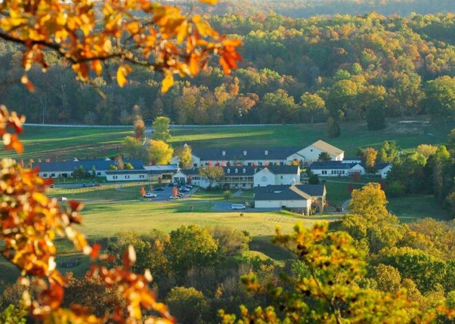 Exploring Premium Rehab in Tennessee: Your Guide to Top-Tier Treatment Options