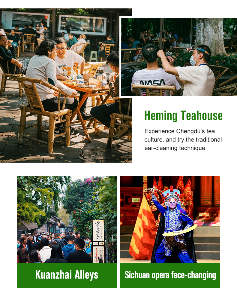 Discovering Sichuan: Insights into Travel Service Charter Costs