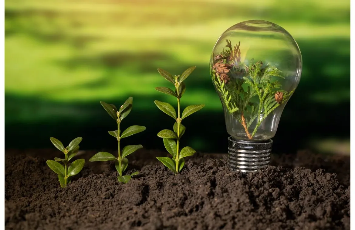Why Sustainability Is So Important for Reducing Waste and Preserving Resources